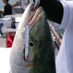 FISHING RISKY 釣果