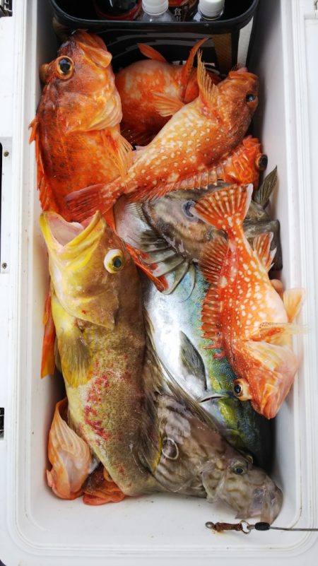 第二龍勢丸 釣果