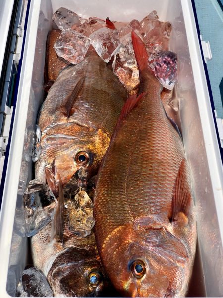 第二八坂丸 釣果