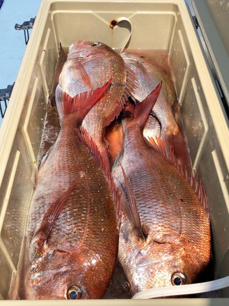 第二八坂丸 釣果