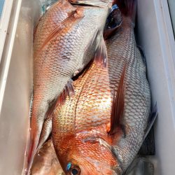 第二八坂丸 釣果