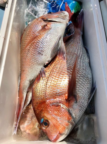 第二八坂丸 釣果