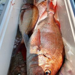 第二八坂丸 釣果