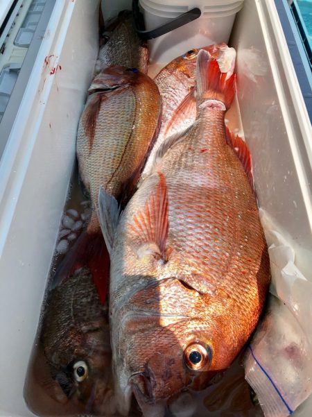 第二八坂丸 釣果