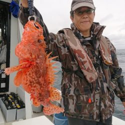 エンペラー 釣果