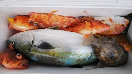 第二龍勢丸 釣果