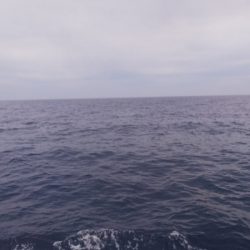 第二龍勢丸 釣果