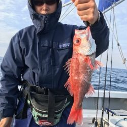 へいみつ丸 釣果