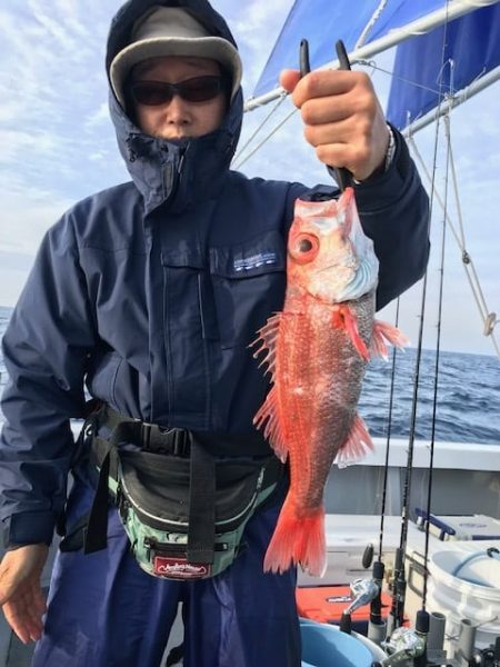 へいみつ丸 釣果