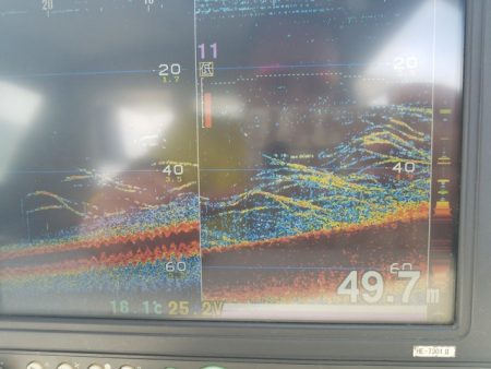 遊漁船　ニライカナイ 釣果
