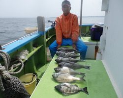 久里浜黒川本家 釣果