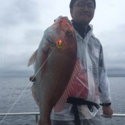 マタウマリンサービス 釣果