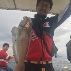 マタウマリンサービス 釣果