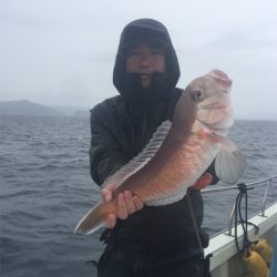 マタウマリンサービス 釣果