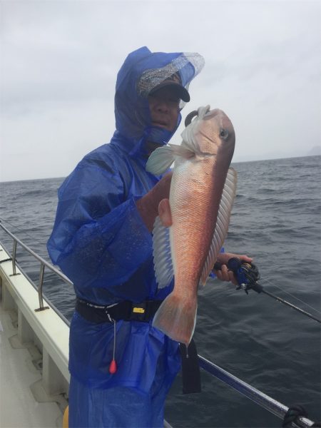 マタウマリンサービス 釣果