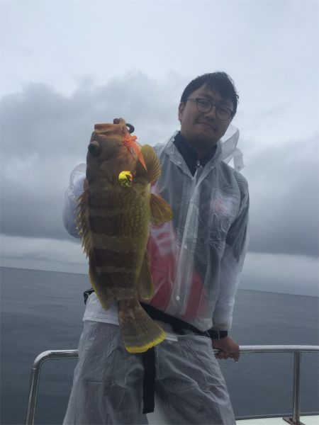 マタウマリンサービス 釣果