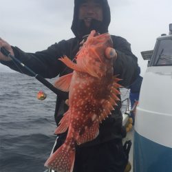 マタウマリンサービス 釣果