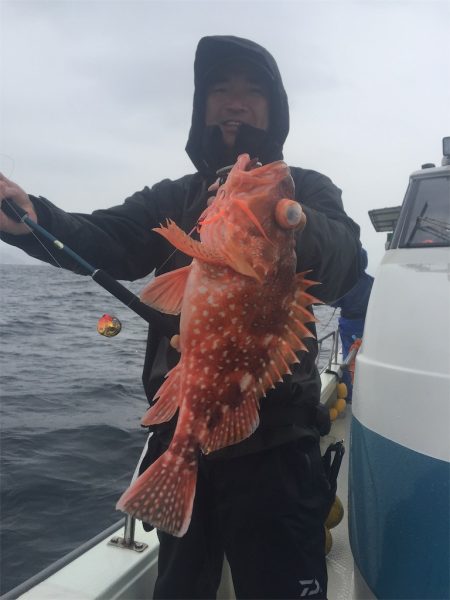 マタウマリンサービス 釣果