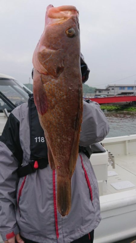 オーフリー 釣果