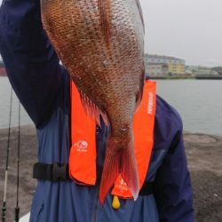 オーフリー 釣果