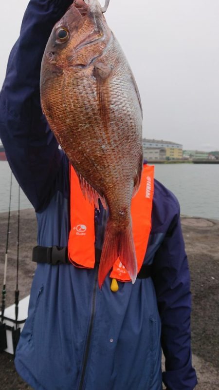 オーフリー 釣果