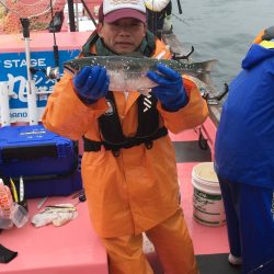第八平成丸 釣果