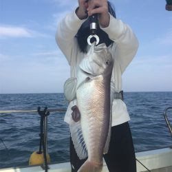 マタウマリンサービス 釣果