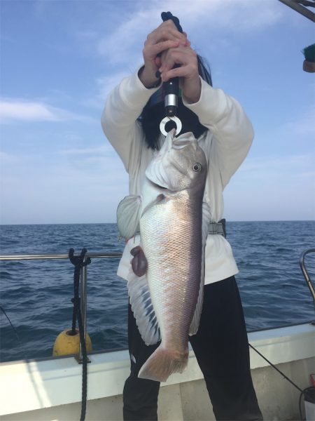 マタウマリンサービス 釣果