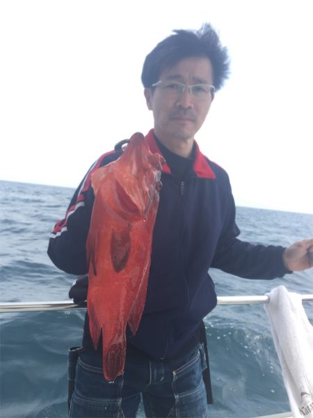 マタウマリンサービス 釣果