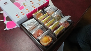 FJガイドサービス 釣果