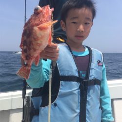 マタウマリンサービス 釣果