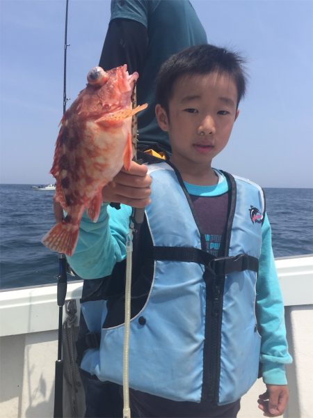 マタウマリンサービス 釣果