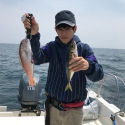 マタウマリンサービス 釣果