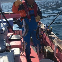 第八平成丸 釣果