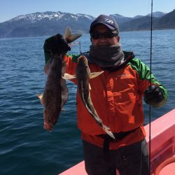 第八平成丸 釣果