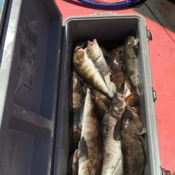 第八平成丸 釣果