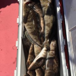 第八平成丸 釣果