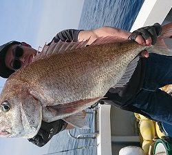 海龍丸(福岡) 釣果