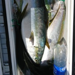 海龍丸(福岡) 釣果