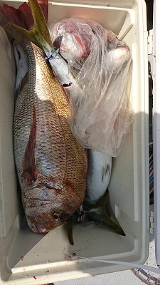 海龍丸(福岡) 釣果