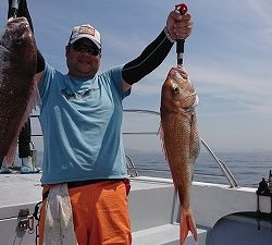 海龍丸(福岡) 釣果