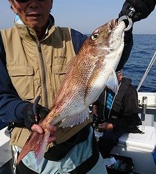海龍丸(福岡) 釣果