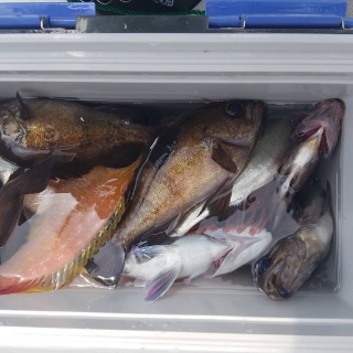 内浜丸 釣果