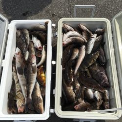 第八平成丸 釣果