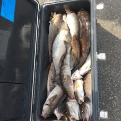 第八平成丸 釣果