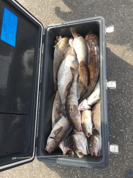 第八平成丸 釣果