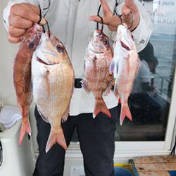 松本釣船2 釣果