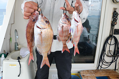 松本釣船2 釣果