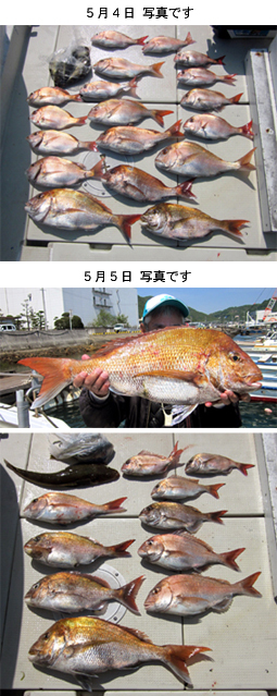 来温丸（らいおんまる） 釣果