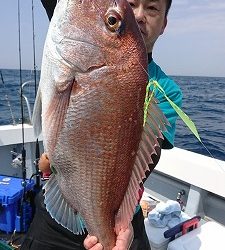 海龍丸（福岡） 釣果